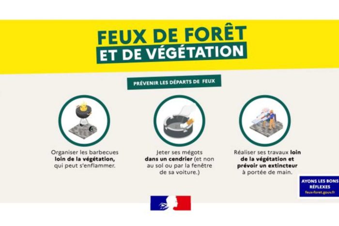 10077_187_illustration-feux-vegetation