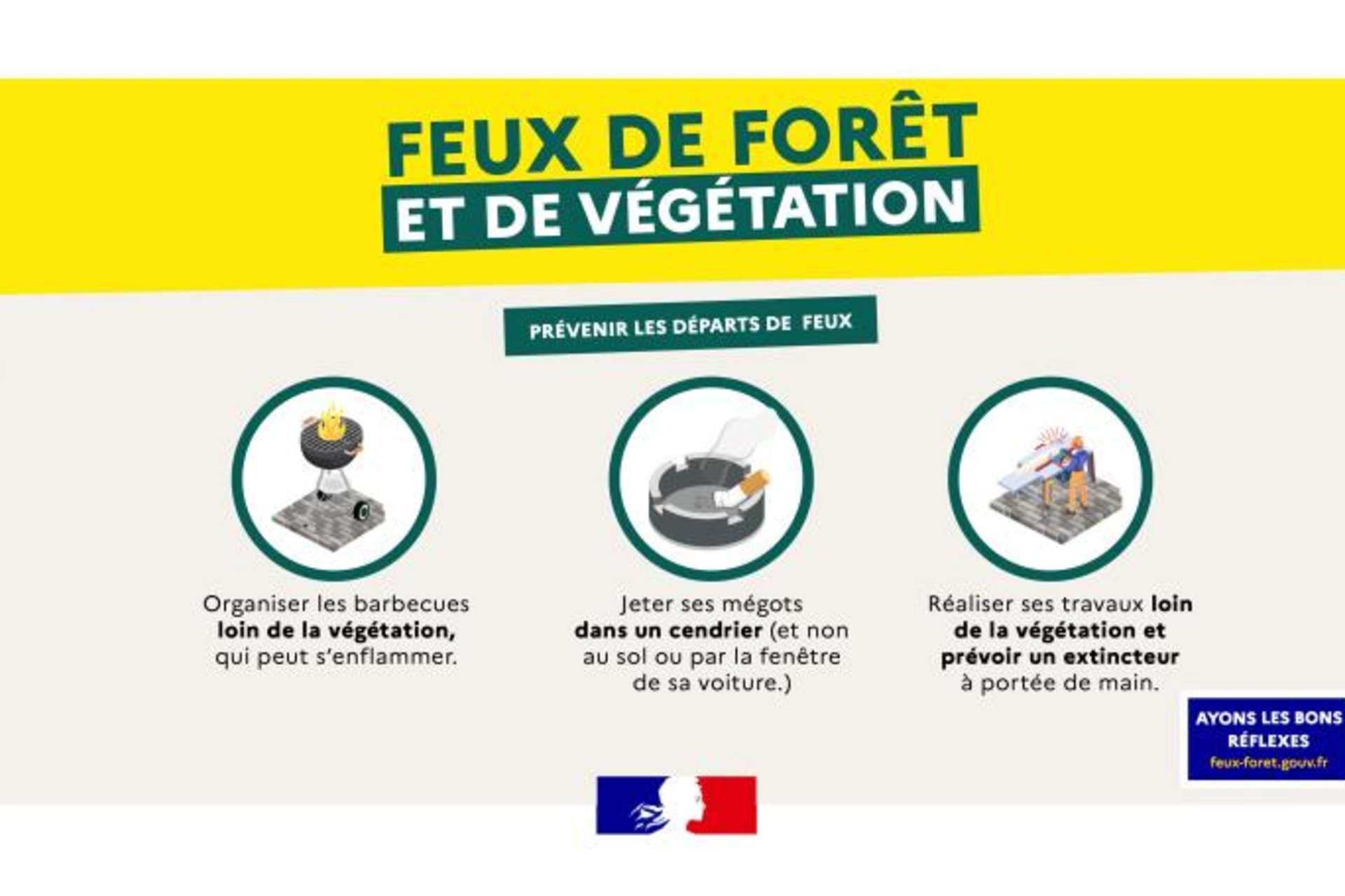 10077_187_illustration-feux-vegetation