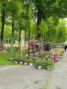 Marché aux Fleurs du 8 mai